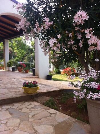 Eingang zu der überdachte Terrasse