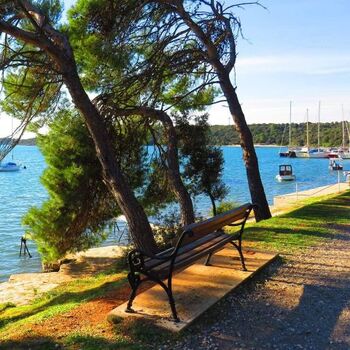 Trimm und Spazierweg 300 m von unseren Haus