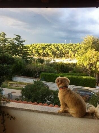 Der Bubi geniest den Blick in die Bucht