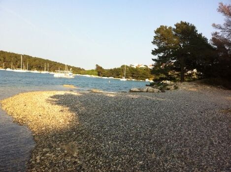 Ein Strand für Hunde und Familie
