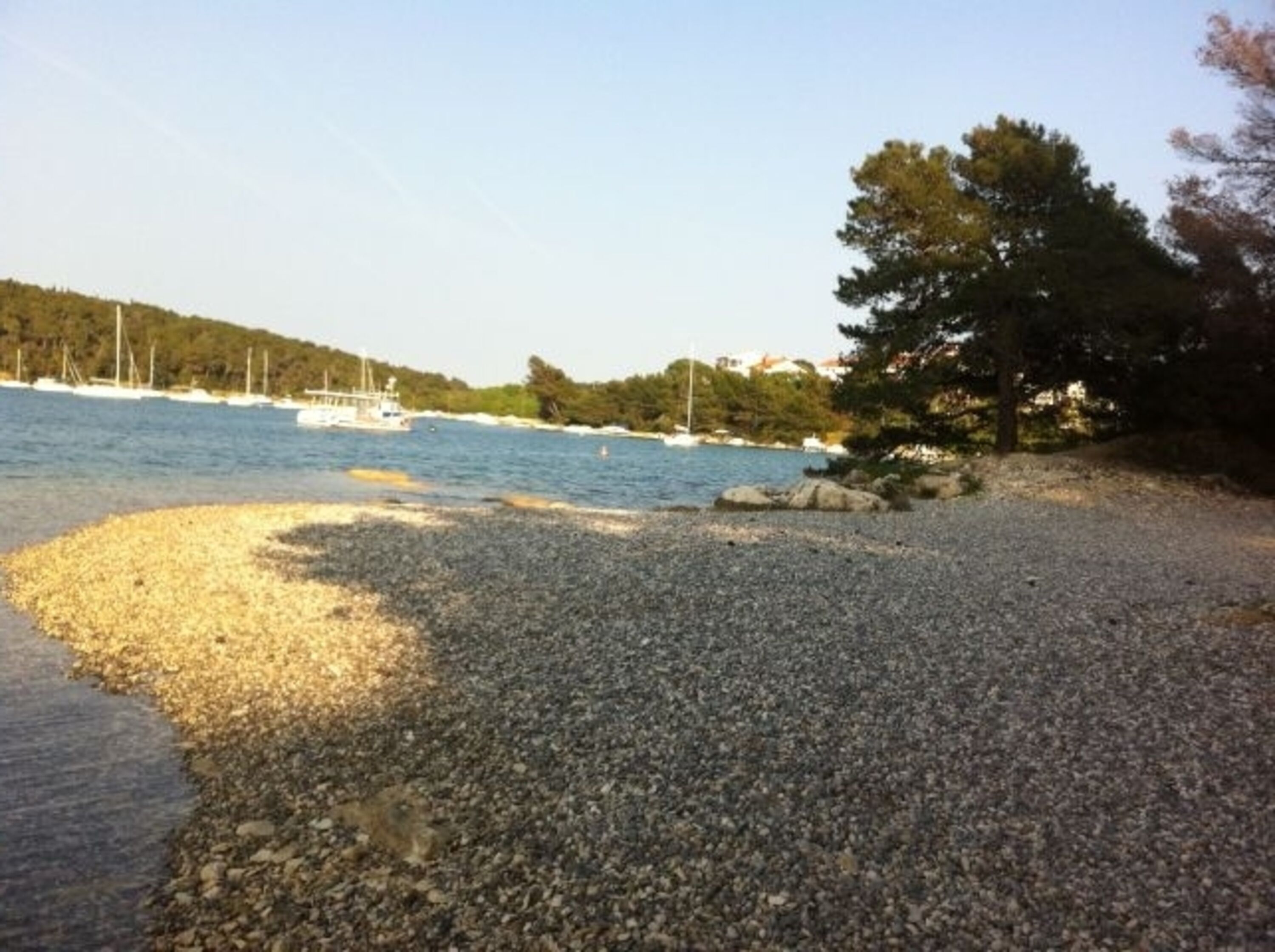 Ein Strand für Hunde und Familie
