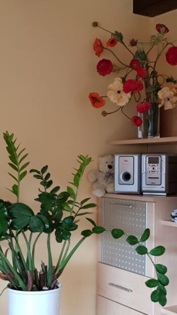 Detailbild Wohnzimmer