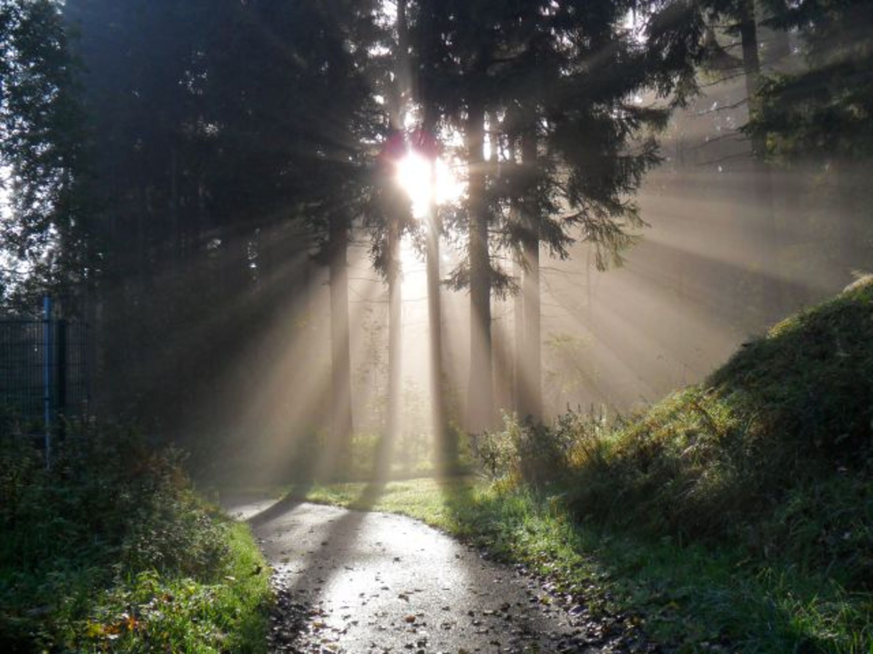 Die Sonne zaubert