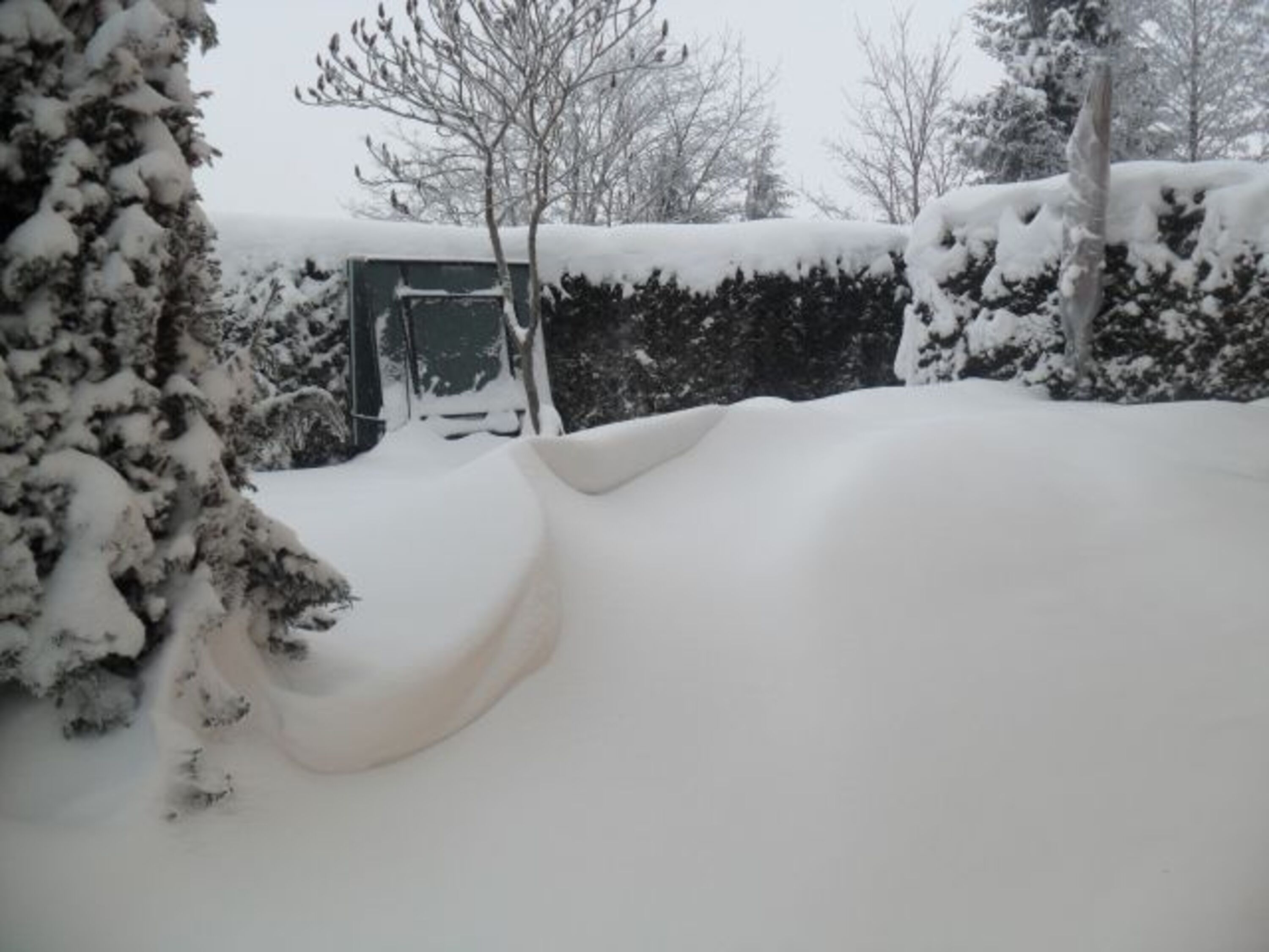 Ordentlich Schnee!