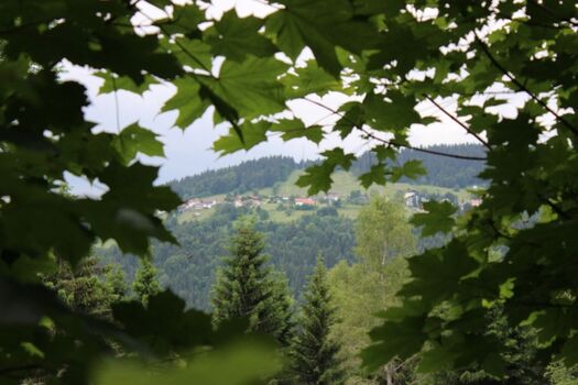 ´Mitterfirmiansreut