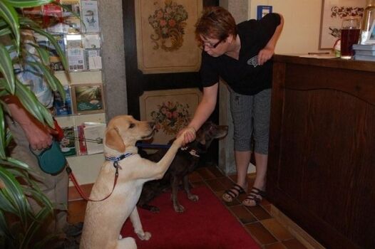 Hunde Herzlich willkommen