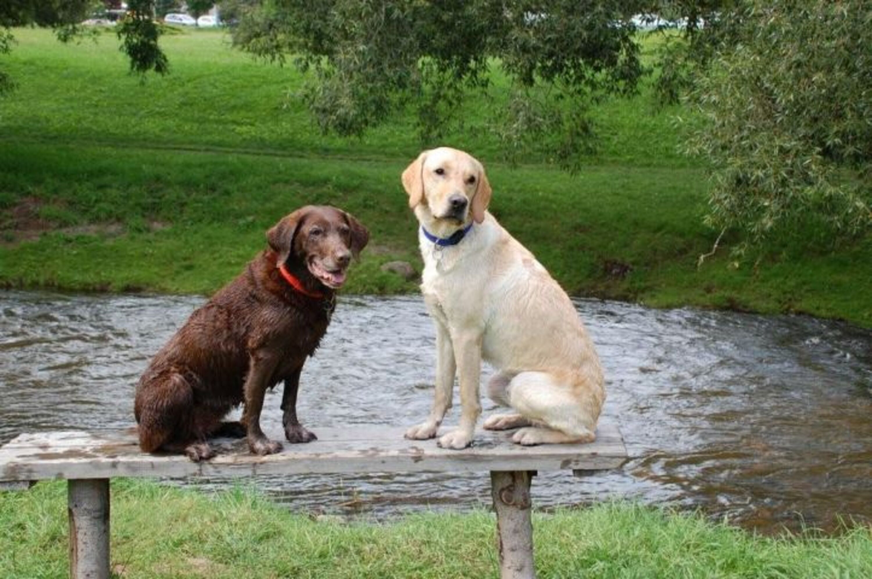 Bild 7