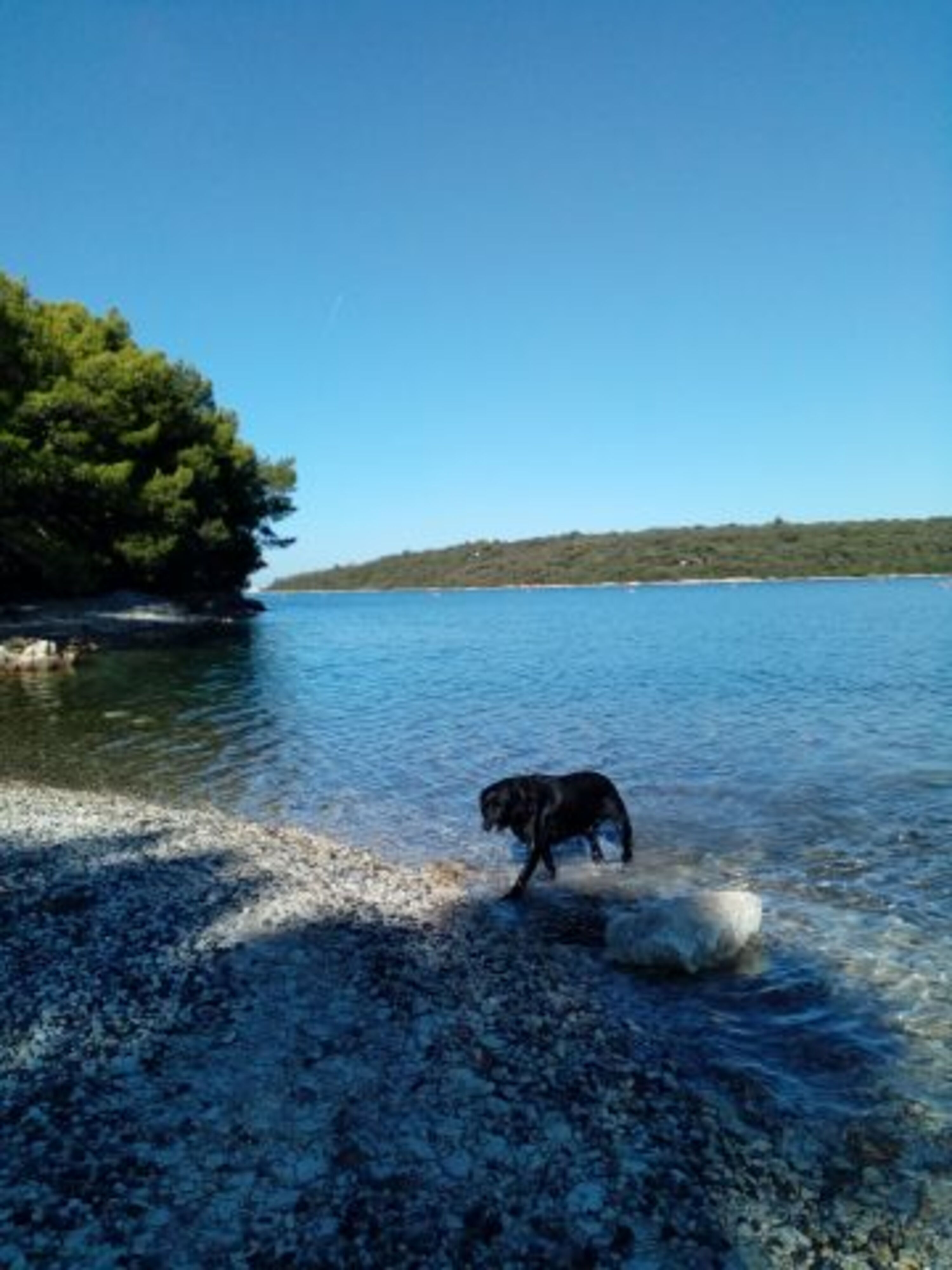 Ruhige Hundestrand