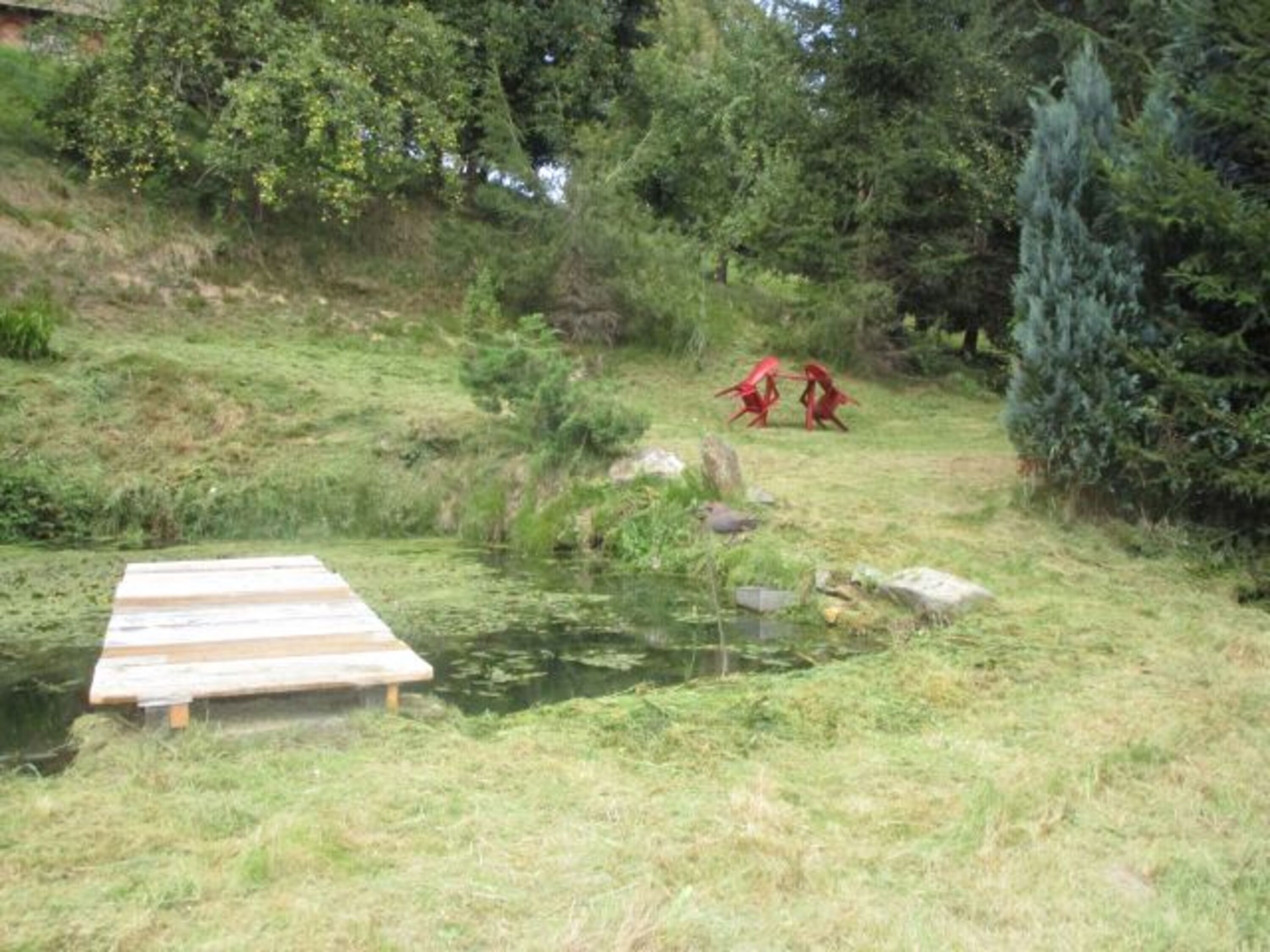 Garten mit Teich
