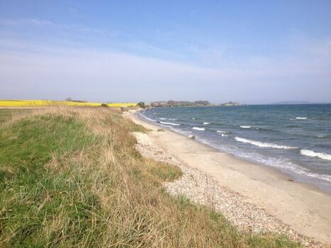 Naturstrand Altkamp in der Nähe