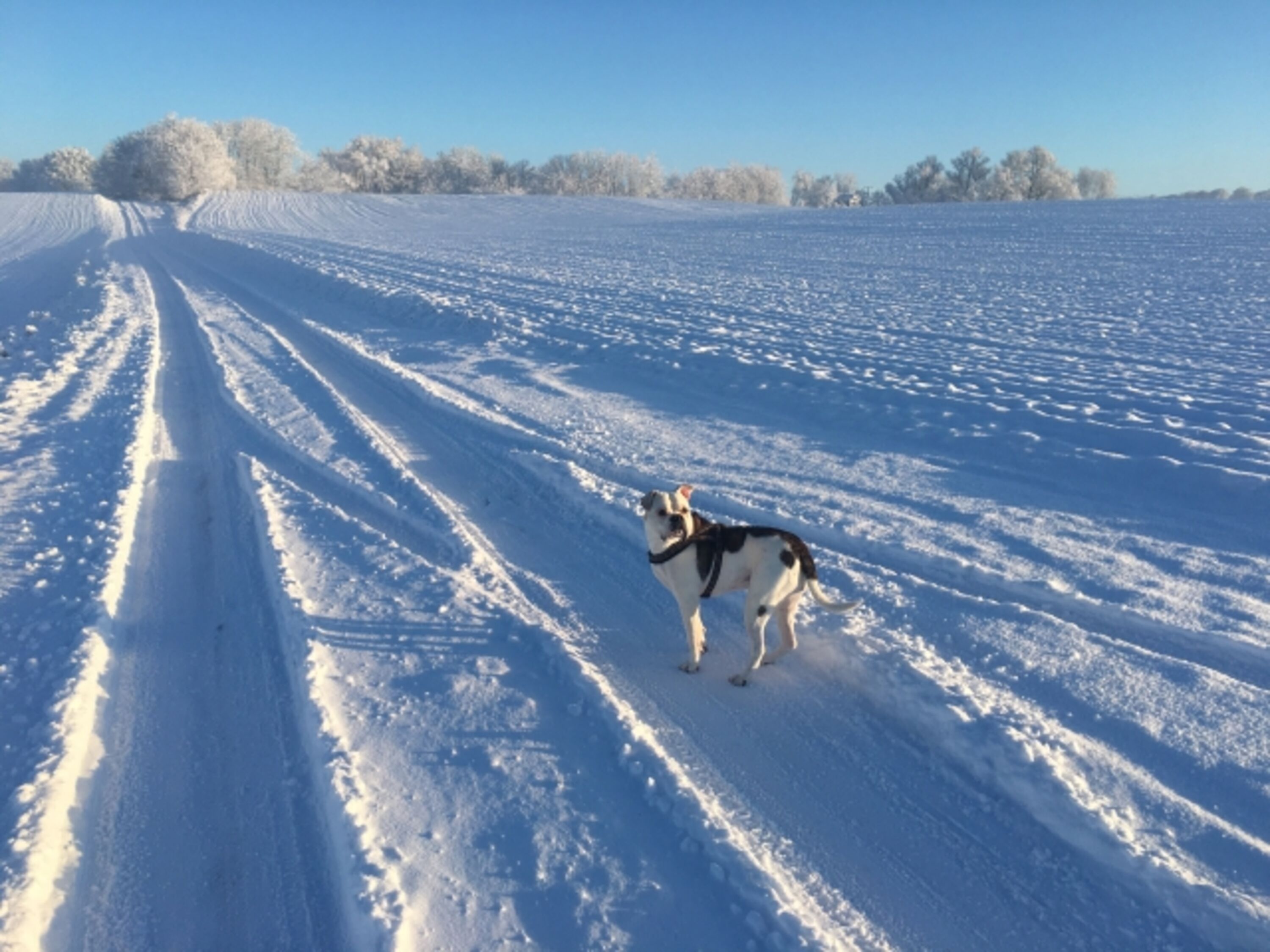 Umgebung im Winter