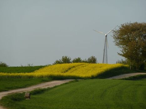 Grenzweg oberhalb Utweiler