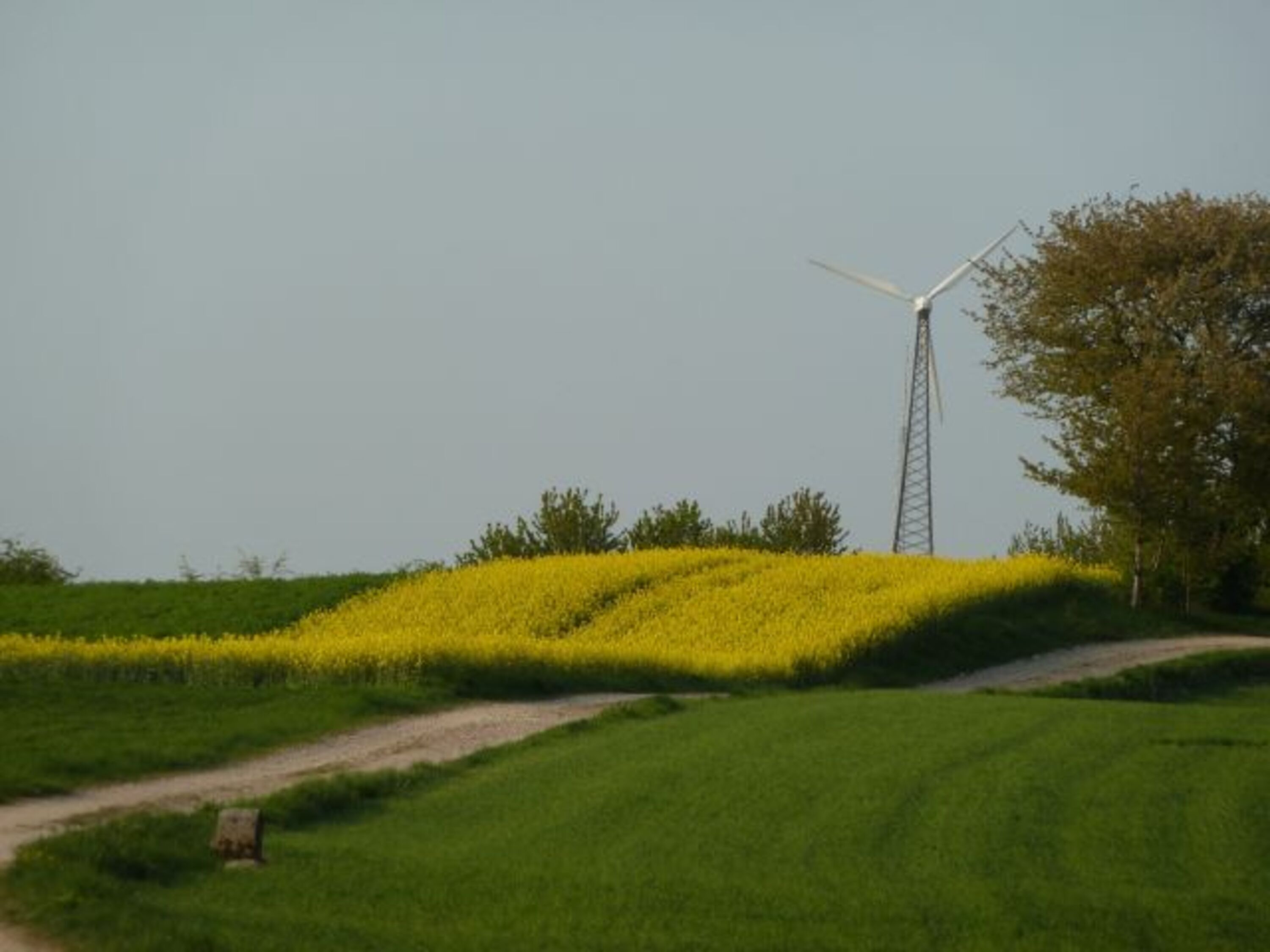 Grenzweg oberhalb Utweiler