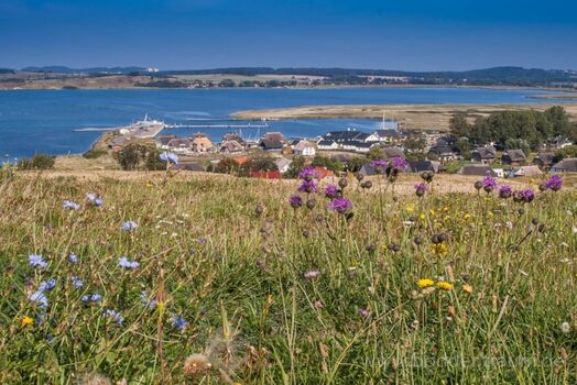 Blick vom Zickerschen Hövt  auf die Siedlung