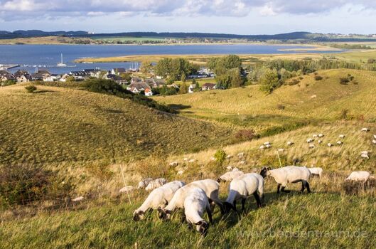 Haus Boddentraum von den umliegenden Hügeln aus