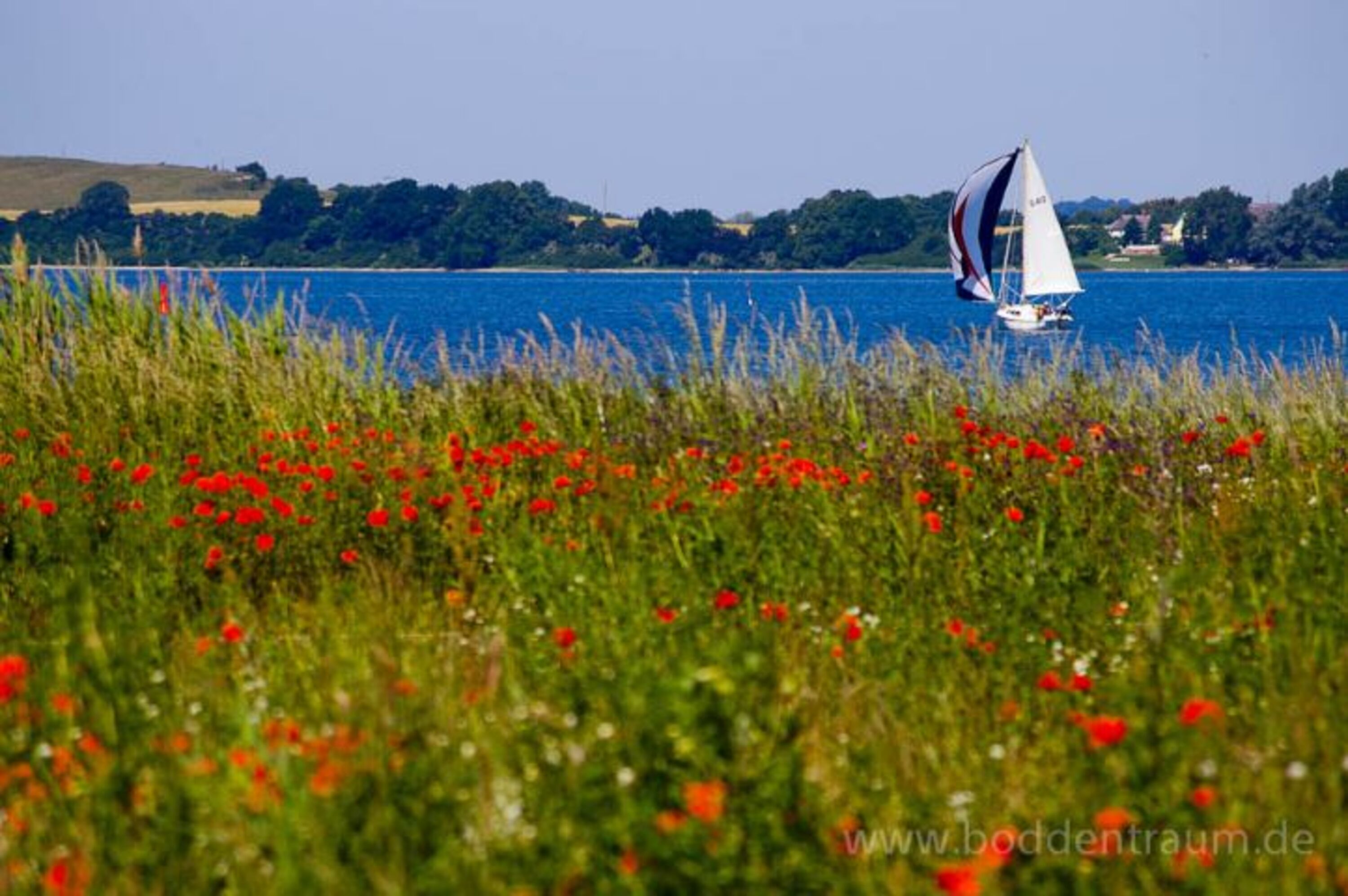 Der Bodden direkt vor der Tür