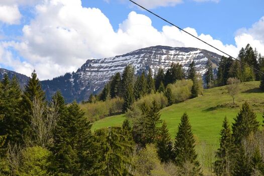 Blick von den Terrassen und Balkonen