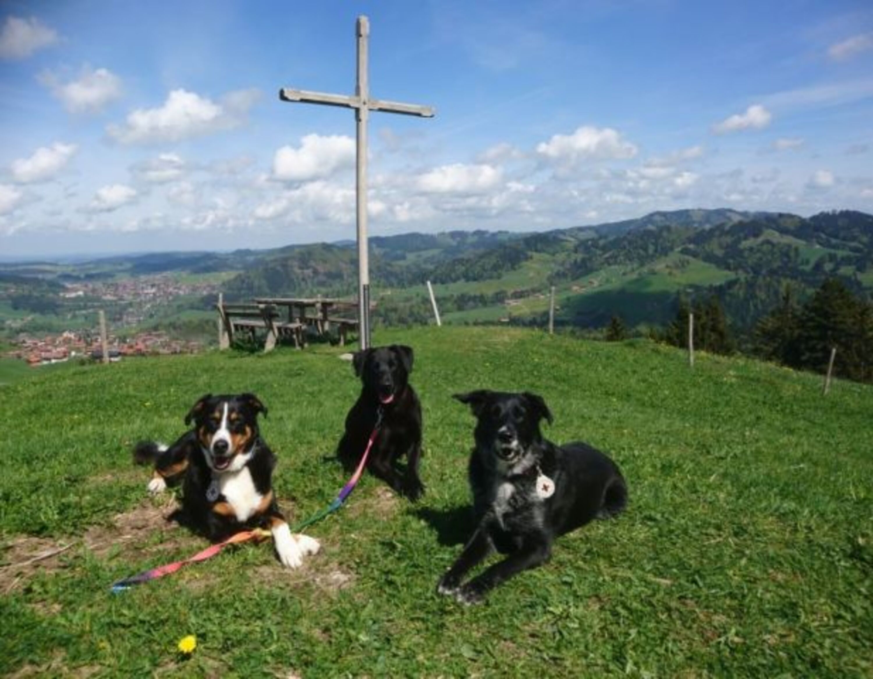 unsere Drei Paula, Mara, Mika