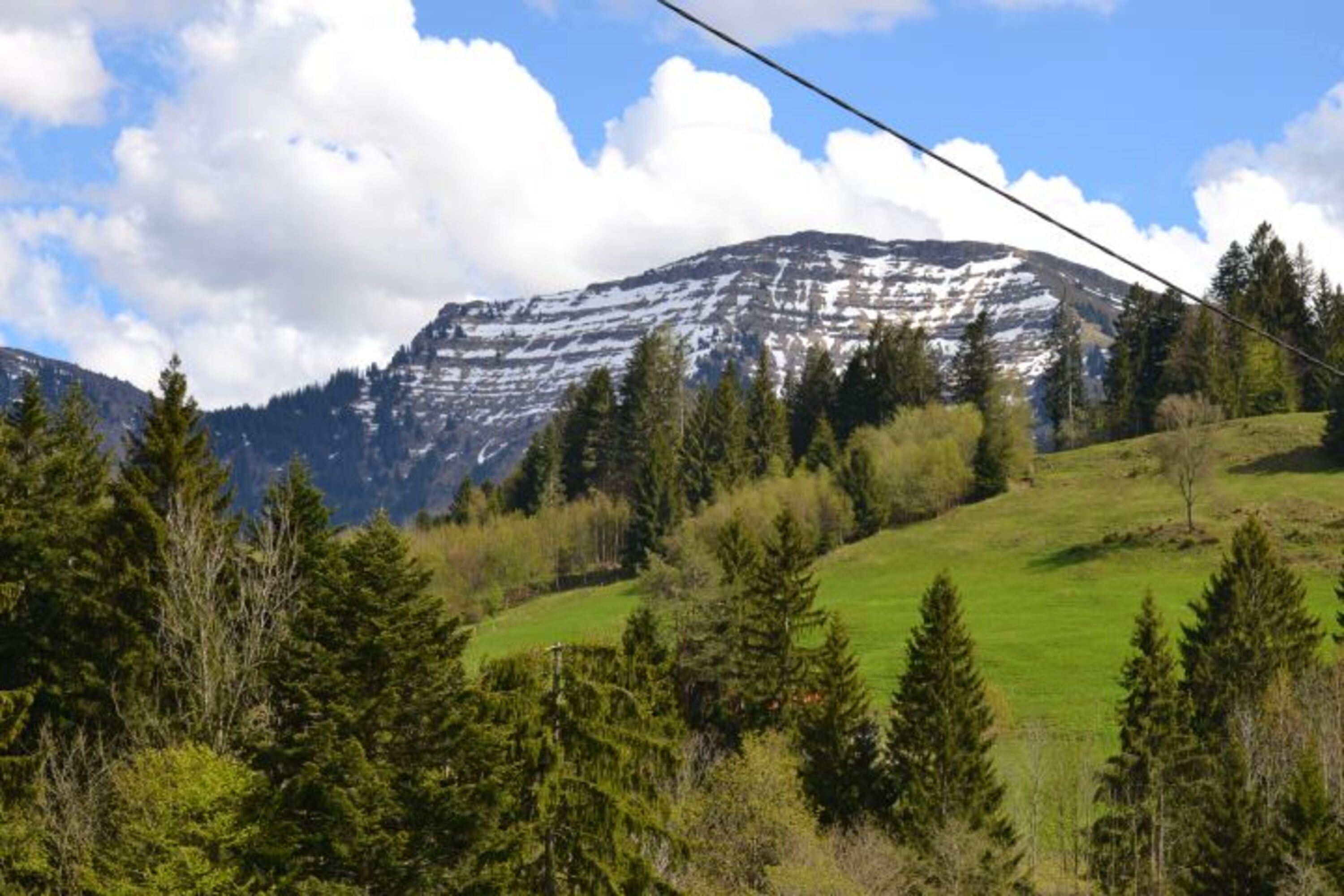 Blick von den Terrassen und Balkonen