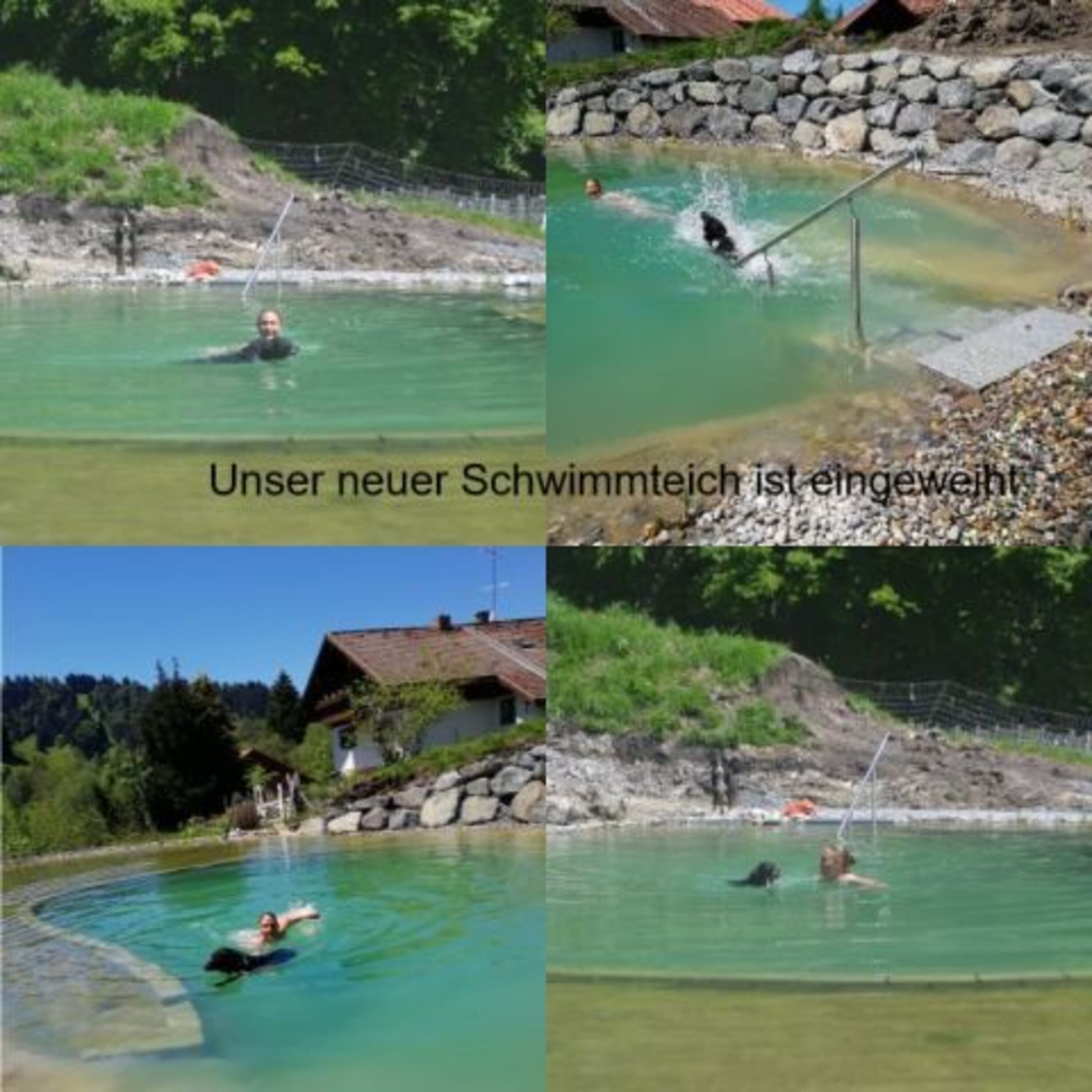 Unser Schwimmteich für Mensch und Hund