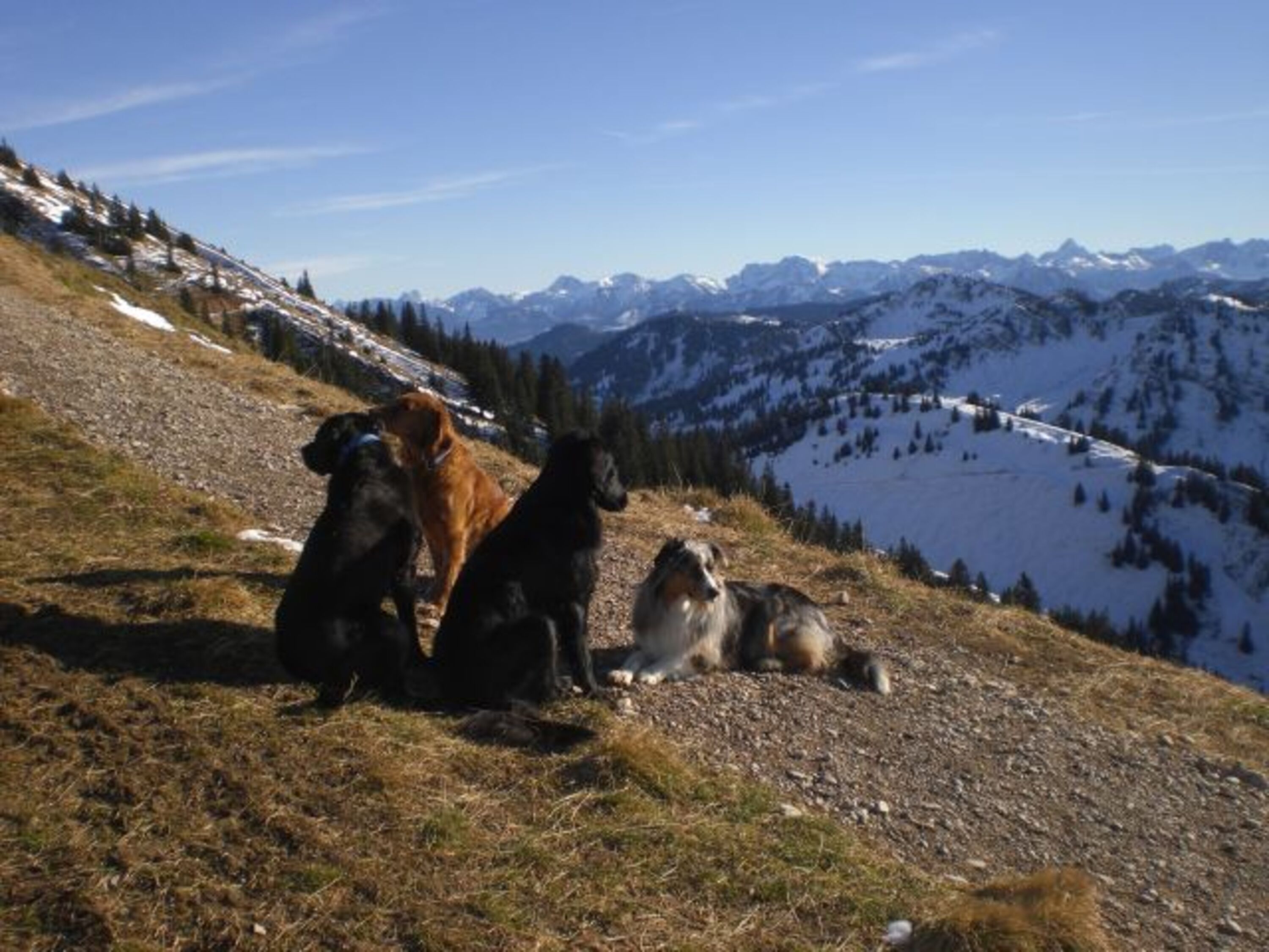 Aussicht am Hochgrat