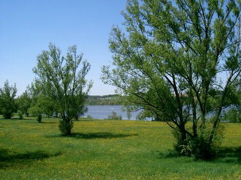 Liegewiese am See