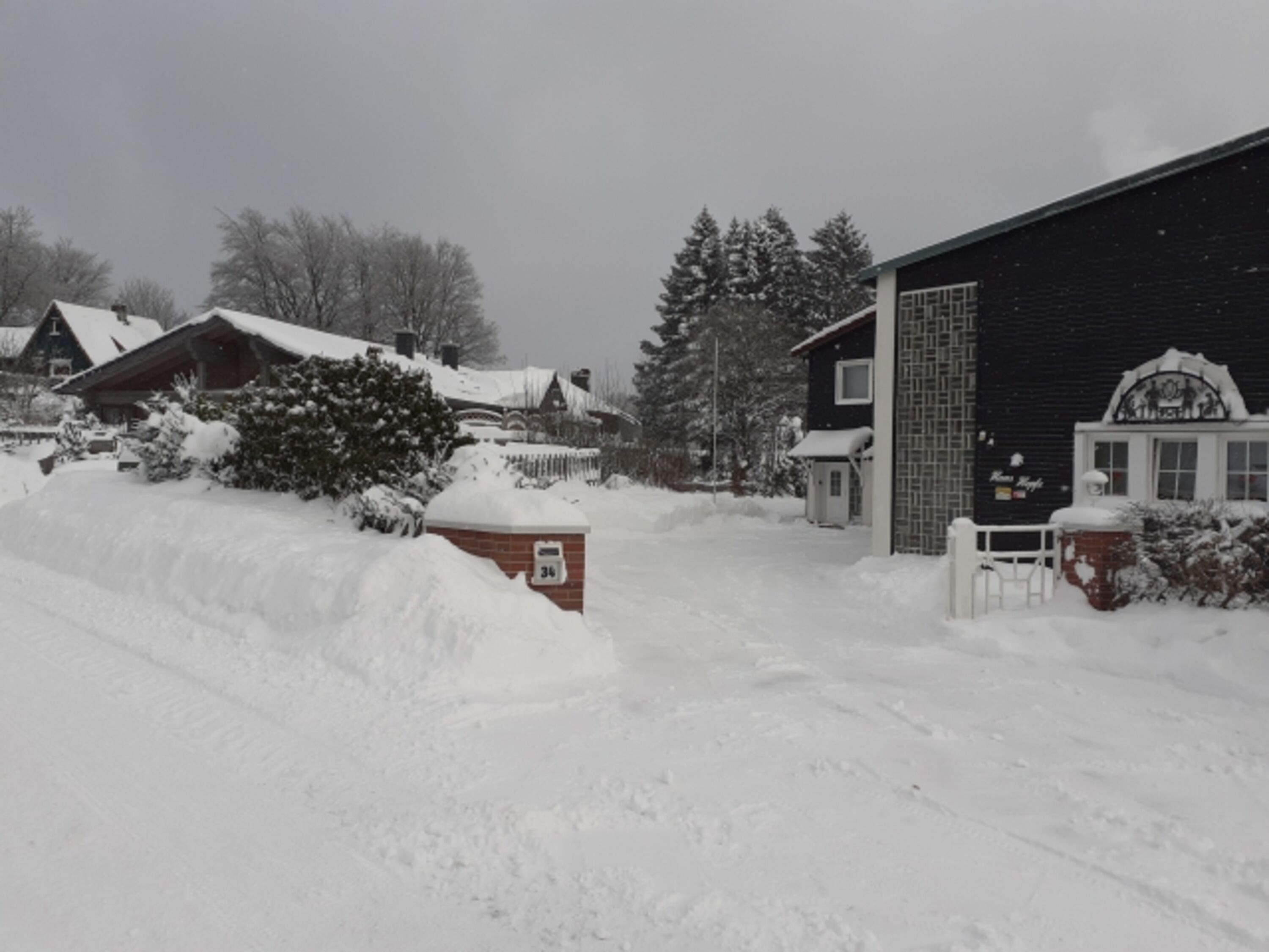Winter 2021