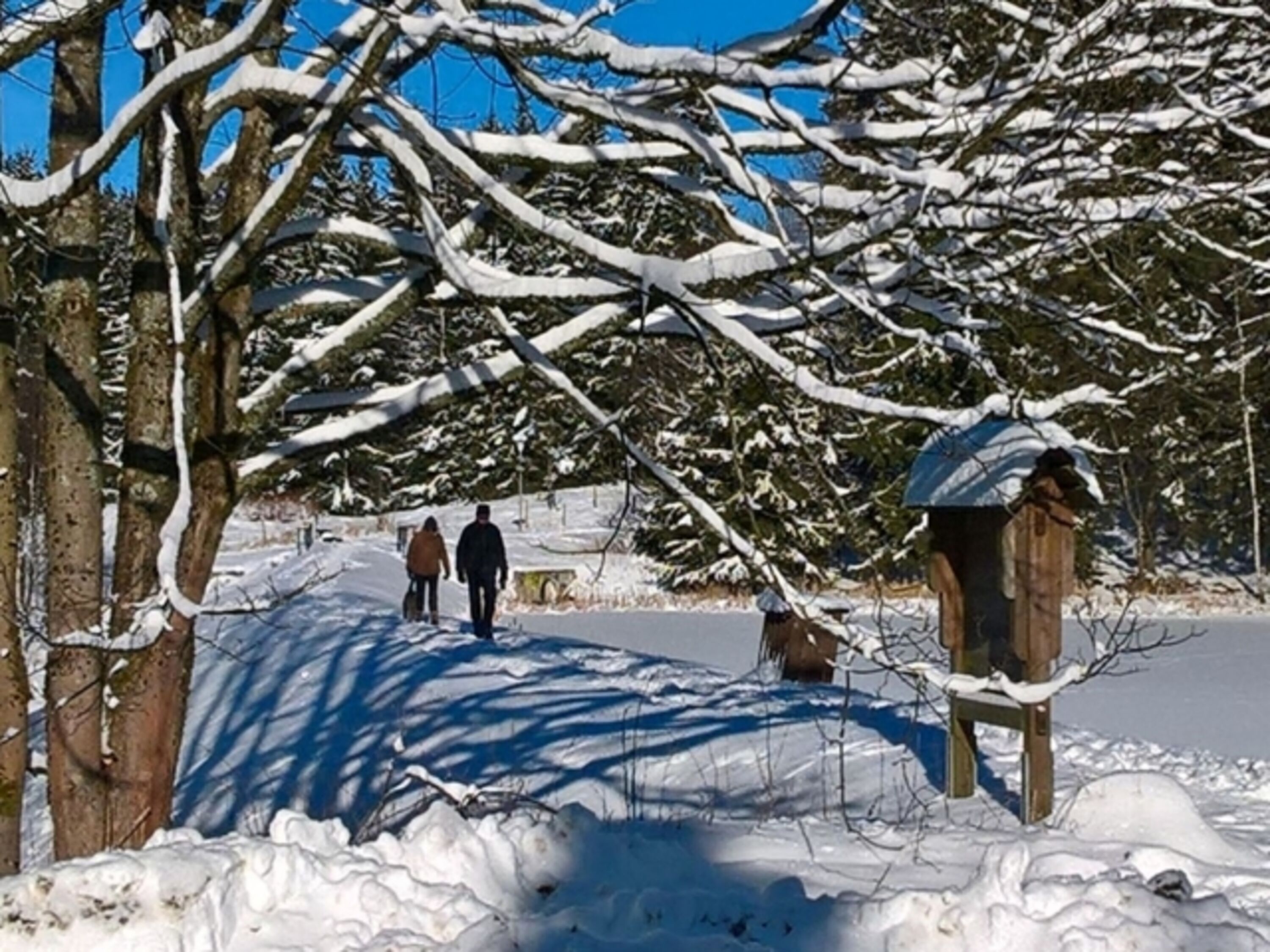 Winterwanderung