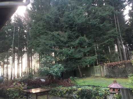 Sonnenaufgang im November