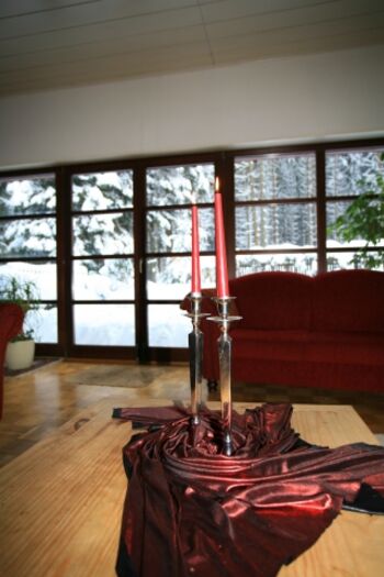 Blick in den winterlichen Garten