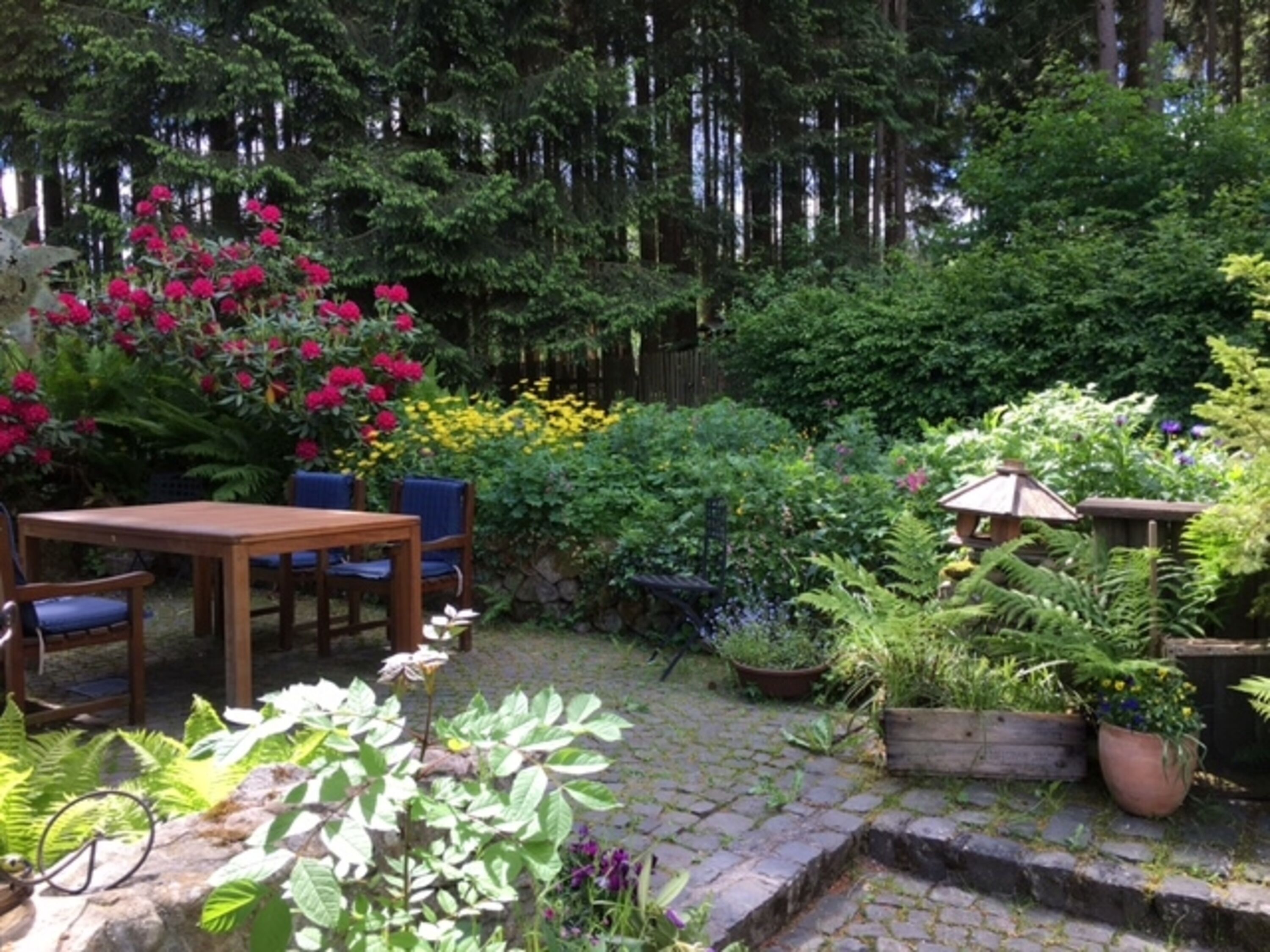 hintere Terrasse