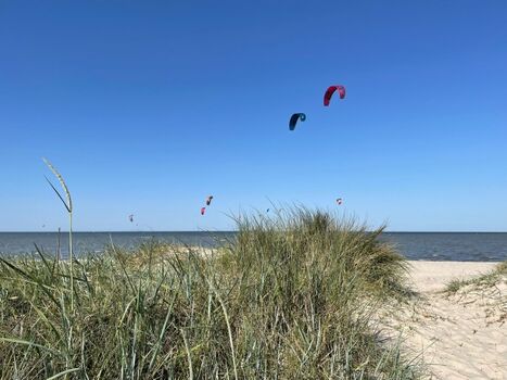 Dünen am Hundestrand