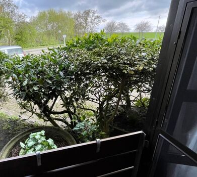 Blick vom Schlafzimmerbalkon zum Deich