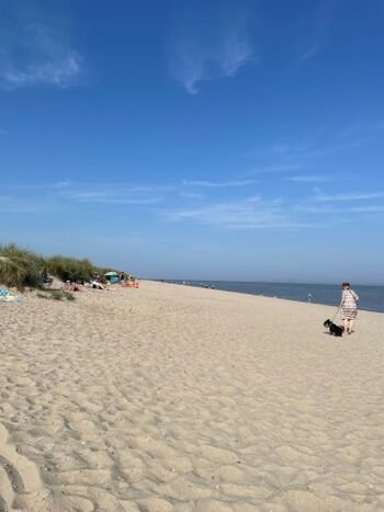 weitläufiger Hundestrand