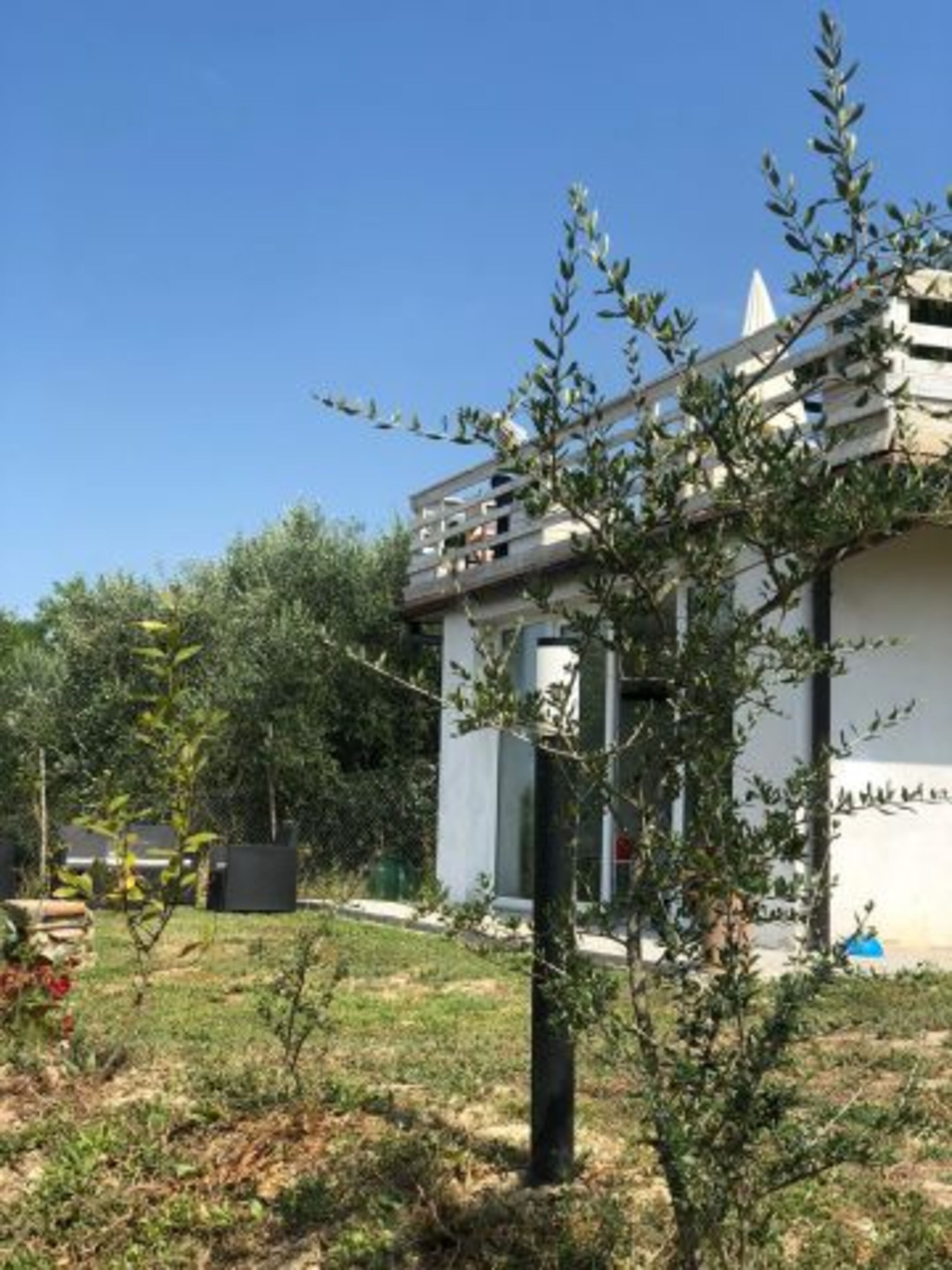 Haus