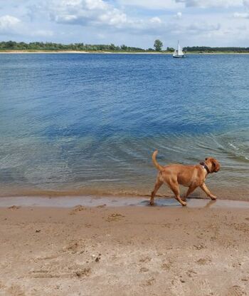 privater Hundestrand