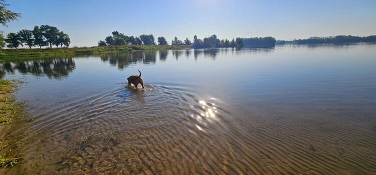 Badespaß das ganze Jahr