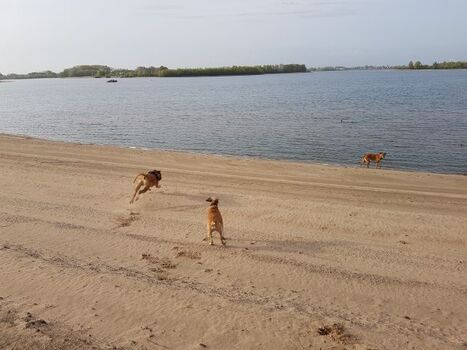 Rennen am Strand macht so viel Spaß 