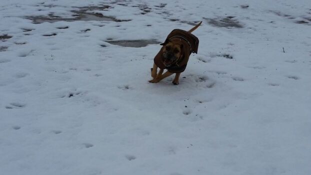 Es ist so schön im Schnee