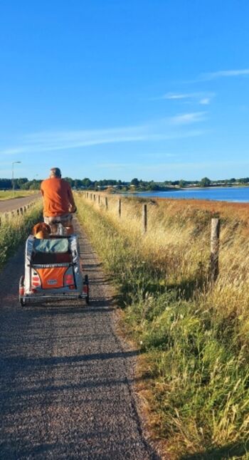 ein Fahrradhänger steht auch für unsere Gasthunde bereit