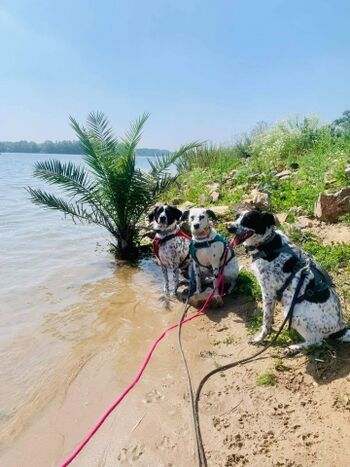 Willkommen im Paradies 