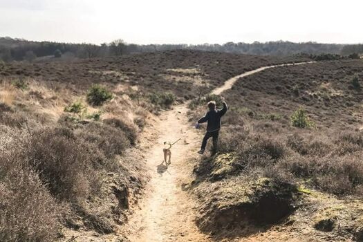 Naturschutzgebiet Posbank