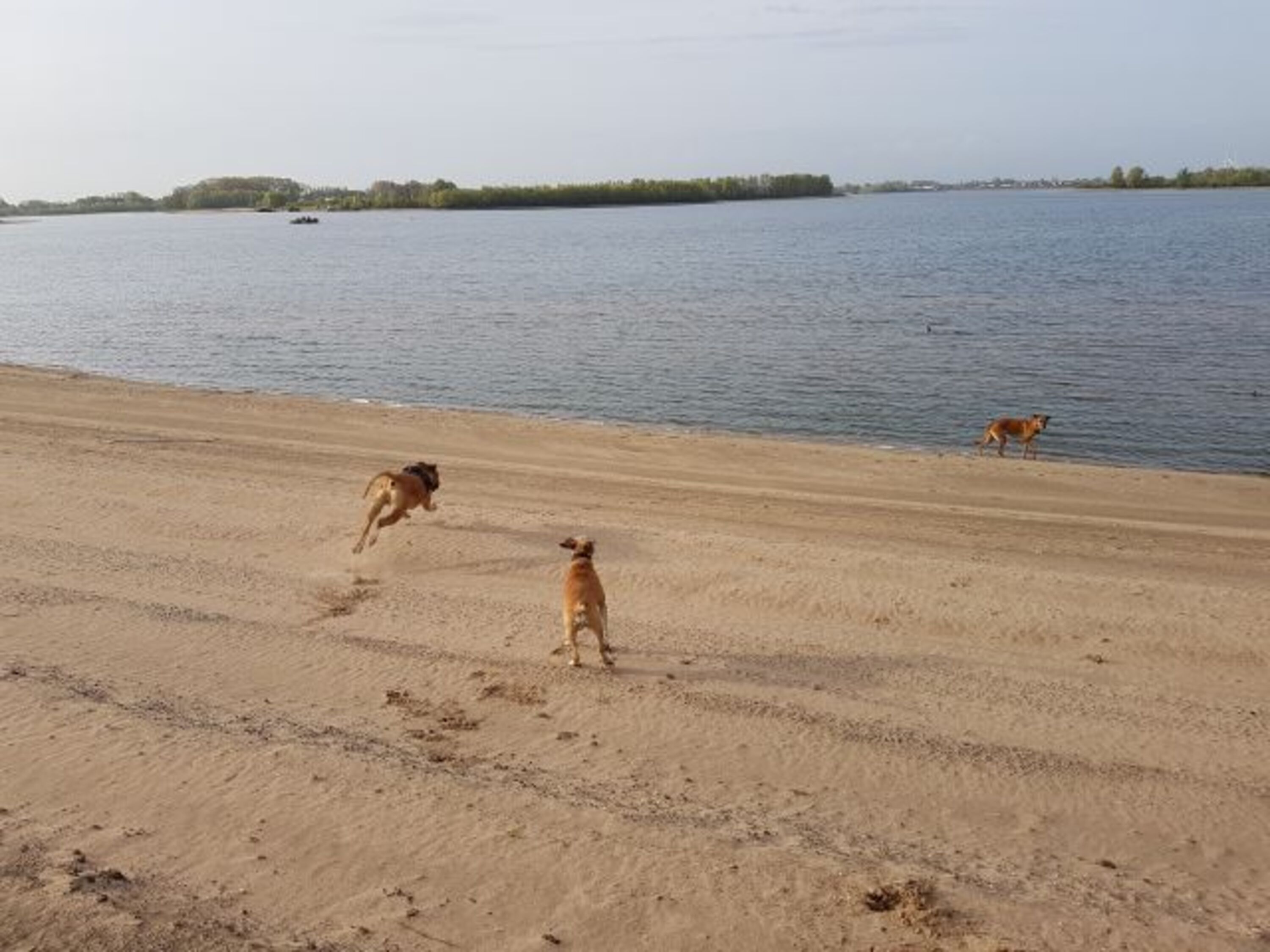 Rennen am Strand macht so viel Spaß 