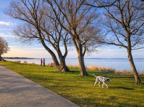 Promenade am Wieker Bodden