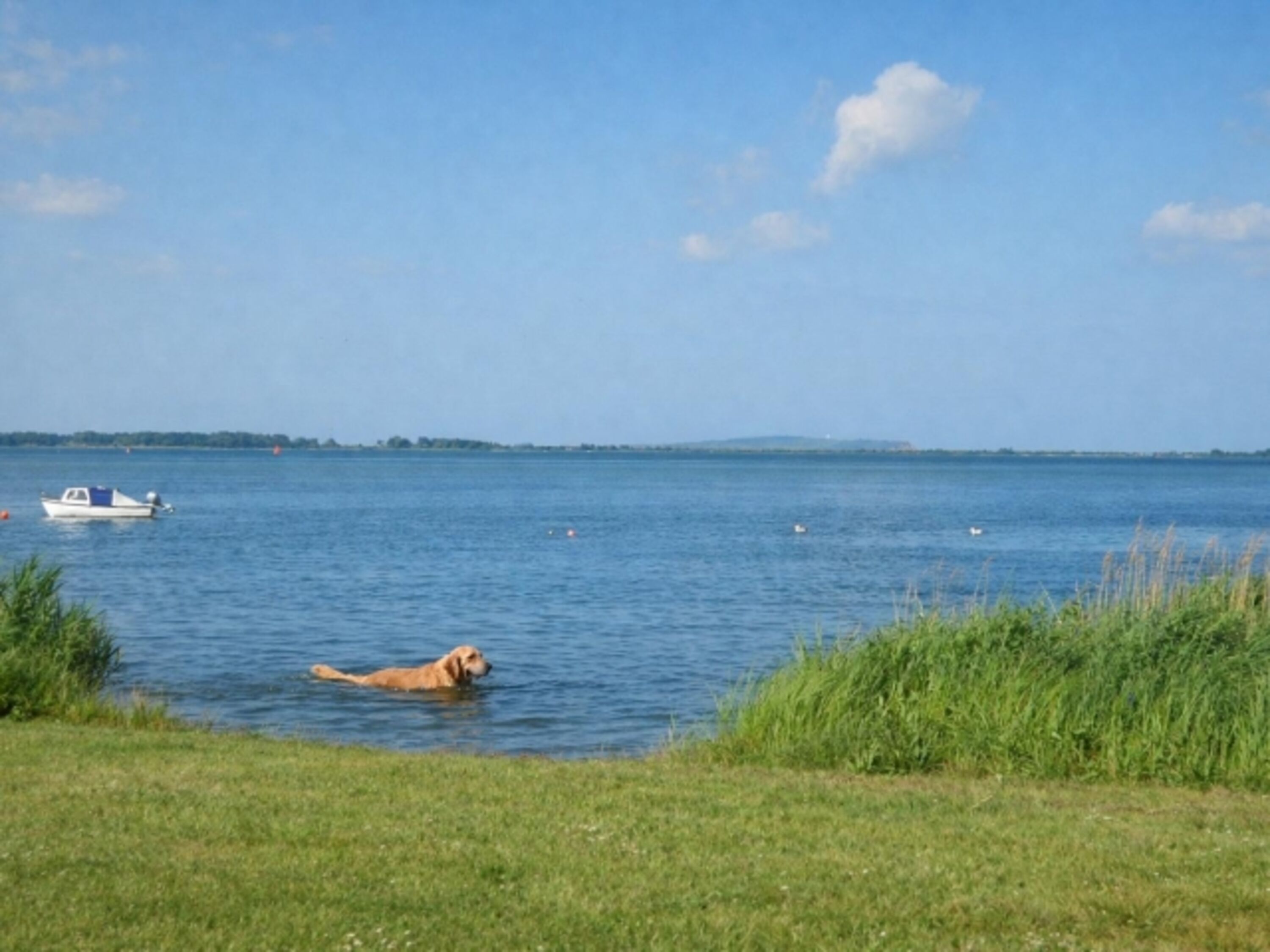 Der Wieker Bodden