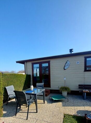 Grundstück umzäunt mit Hecke und im unteren Bereich Maschendraht