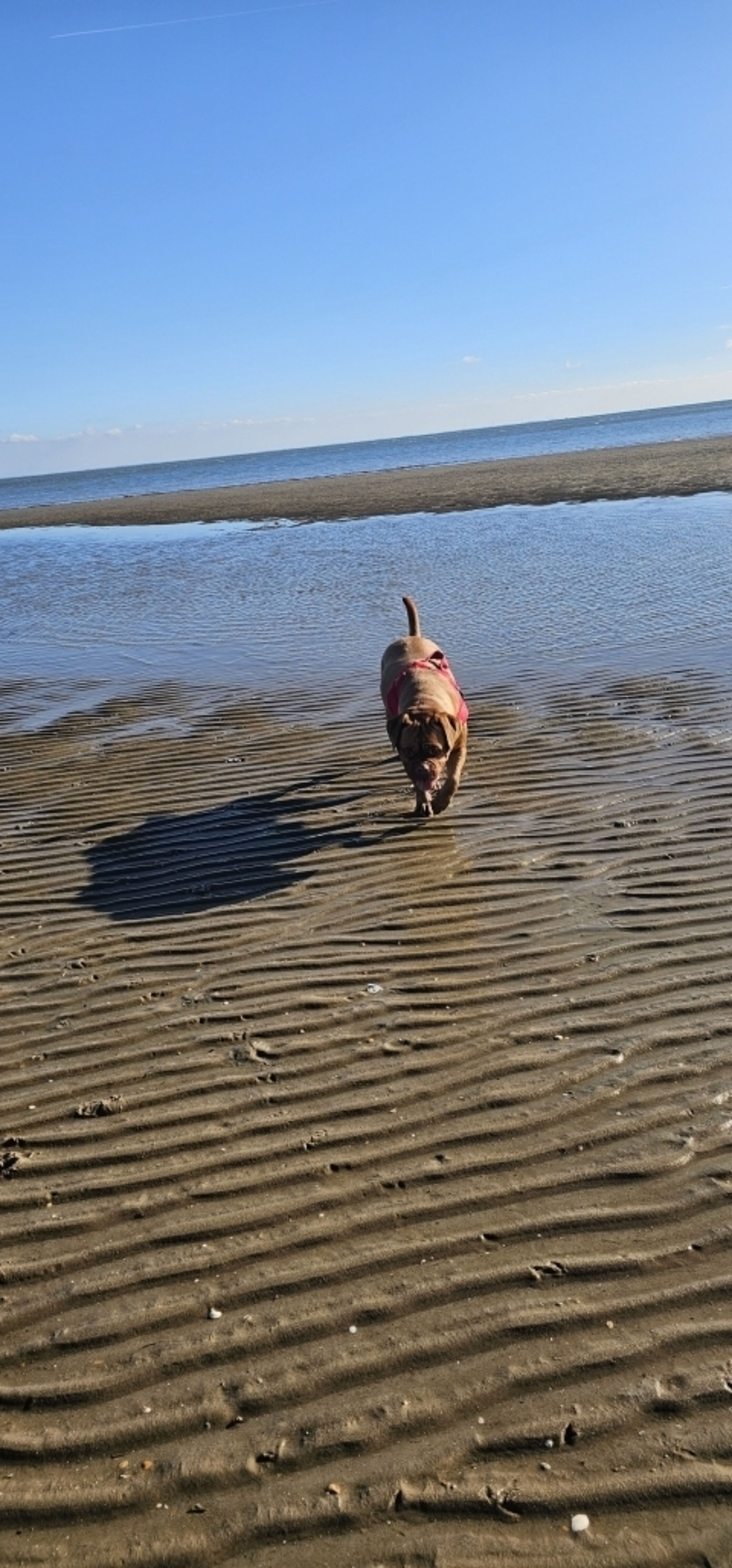 Waddenzee