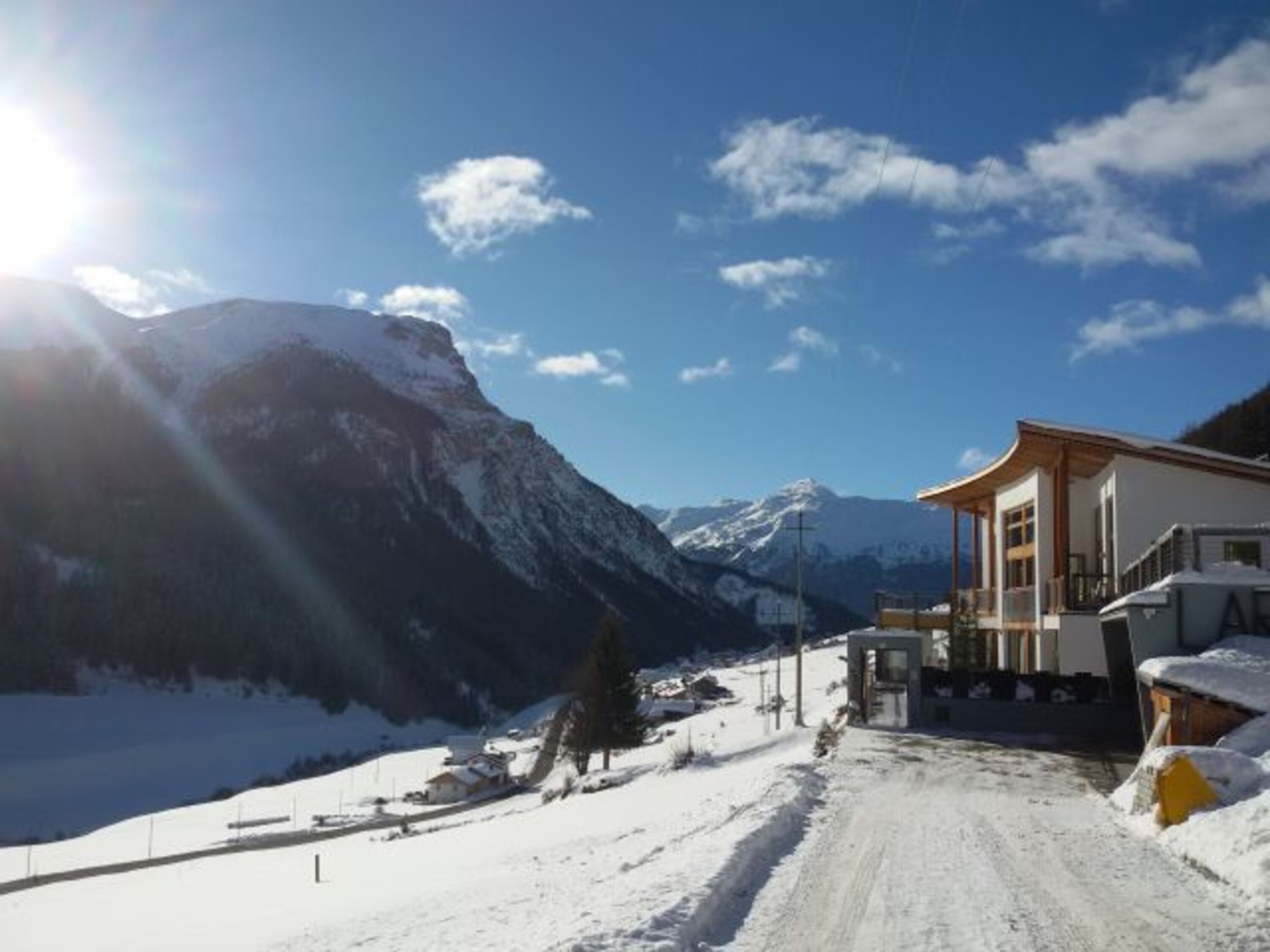 Larix im Winter