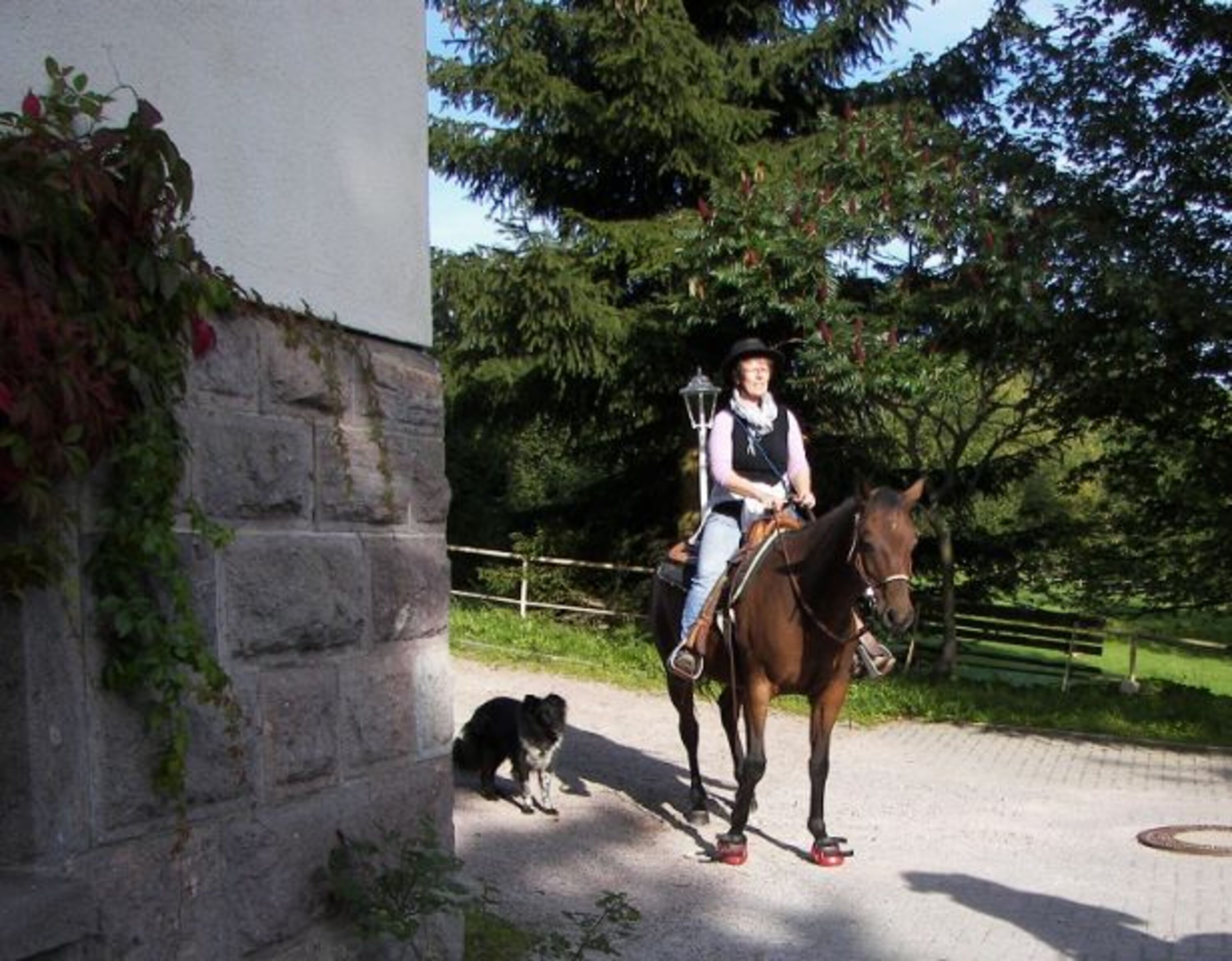 Bild 4