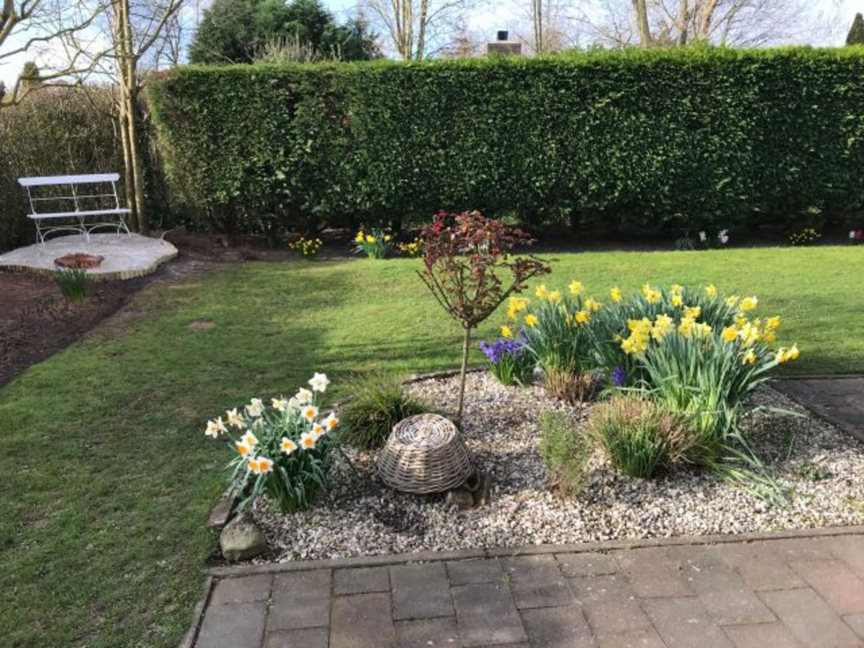 Gartenbereich